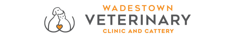 Wadestown Veterinary Clinic & Cattery